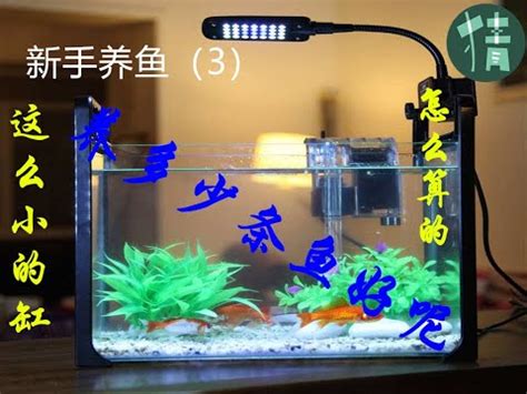 30公分魚缸可以養幾隻魚